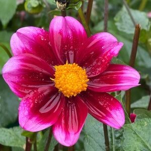 Meet your Posher, Courtney